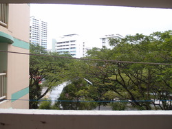 Blk 209 Boon Lay Place (Jurong West), HDB 3 Rooms #183078512
